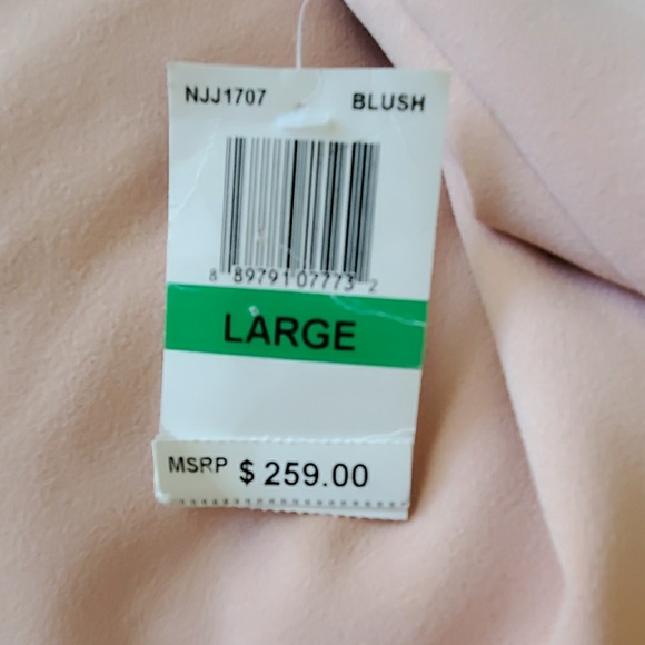 NOOKIE BEAUTIFUL BLUSH DRESS - Picture 4 of 4